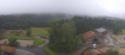 Archiv Foto Webcam Henndorf am Wallersee - Gut Aiderbichl 09:00