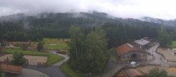 Archiv Foto Webcam Henndorf am Wallersee - Gut Aiderbichl 11:00