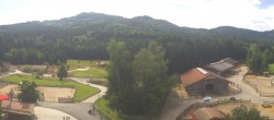 Archiv Foto Webcam Henndorf am Wallersee - Gut Aiderbichl 09:00