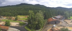 Archiv Foto Webcam Henndorf am Wallersee - Gut Aiderbichl 15:00