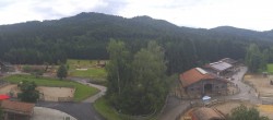 Archiv Foto Webcam Henndorf am Wallersee - Gut Aiderbichl 09:00