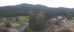 Archiv Foto Webcam Henndorf am Wallersee - Gut Aiderbichl 07:00