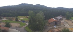Archiv Foto Webcam Henndorf am Wallersee - Gut Aiderbichl 09:00