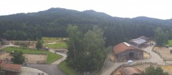 Archiv Foto Webcam Henndorf am Wallersee - Gut Aiderbichl 11:00