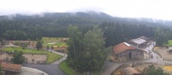 Archived image Webcam Gut Aiderbichl 11:00