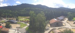 Archiv Foto Webcam Henndorf am Wallersee - Gut Aiderbichl 11:00