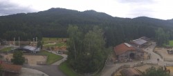 Archiv Foto Webcam Henndorf am Wallersee - Gut Aiderbichl 13:00