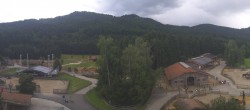 Archiv Foto Webcam Henndorf am Wallersee - Gut Aiderbichl 15:00