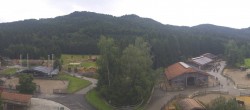 Archiv Foto Webcam Henndorf am Wallersee - Gut Aiderbichl 11:00