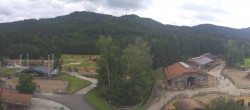 Archiv Foto Webcam Henndorf am Wallersee - Gut Aiderbichl 13:00