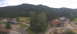 Archiv Foto Webcam Henndorf am Wallersee - Gut Aiderbichl 15:00