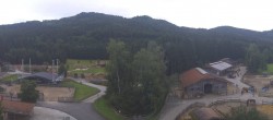 Archiv Foto Webcam Henndorf am Wallersee - Gut Aiderbichl 05:00