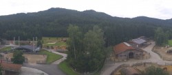 Archiv Foto Webcam Henndorf am Wallersee - Gut Aiderbichl 06:00