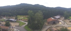 Archiv Foto Webcam Henndorf am Wallersee - Gut Aiderbichl 09:00