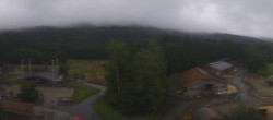 Archiv Foto Webcam Henndorf am Wallersee - Gut Aiderbichl 11:00