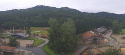 Archiv Foto Webcam Henndorf am Wallersee - Gut Aiderbichl 09:00