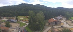 Archiv Foto Webcam Henndorf am Wallersee - Gut Aiderbichl 15:00