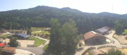 Archiv Foto Webcam Henndorf am Wallersee - Gut Aiderbichl 11:00