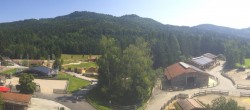 Archiv Foto Webcam Henndorf am Wallersee - Gut Aiderbichl 13:00