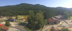 Archiv Foto Webcam Henndorf am Wallersee - Gut Aiderbichl 15:00