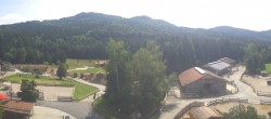 Archiv Foto Webcam Henndorf am Wallersee - Gut Aiderbichl 11:00