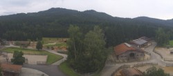 Archiv Foto Webcam Henndorf am Wallersee - Gut Aiderbichl 17:00