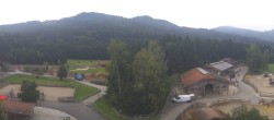 Archiv Foto Webcam Henndorf am Wallersee - Gut Aiderbichl 06:00