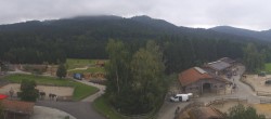 Archiv Foto Webcam Henndorf am Wallersee - Gut Aiderbichl 09:00