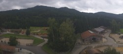 Archiv Foto Webcam Henndorf am Wallersee - Gut Aiderbichl 11:00