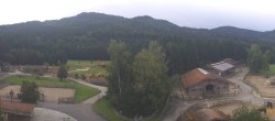 Archiv Foto Webcam Henndorf am Wallersee - Gut Aiderbichl 06:00