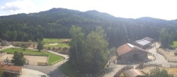 Archiv Foto Webcam Henndorf am Wallersee - Gut Aiderbichl 11:00