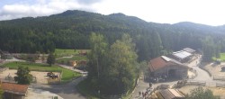 Archiv Foto Webcam Henndorf am Wallersee - Gut Aiderbichl 13:00