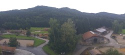 Archiv Foto Webcam Henndorf am Wallersee - Gut Aiderbichl 07:00