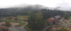 Archiv Foto Webcam Henndorf am Wallersee - Gut Aiderbichl 08:00