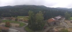 Archiv Foto Webcam Henndorf am Wallersee - Gut Aiderbichl 11:00