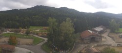 Archiv Foto Webcam Henndorf am Wallersee - Gut Aiderbichl 13:00