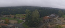 Archiv Foto Webcam Henndorf am Wallersee - Gut Aiderbichl 07:00
