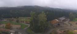 Archiv Foto Webcam Henndorf am Wallersee - Gut Aiderbichl 09:00
