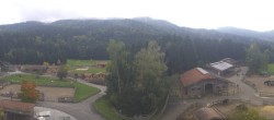 Archiv Foto Webcam Henndorf am Wallersee - Gut Aiderbichl 11:00