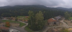 Archiv Foto Webcam Henndorf am Wallersee - Gut Aiderbichl 13:00