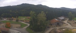 Archiv Foto Webcam Henndorf am Wallersee - Gut Aiderbichl 07:00