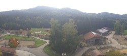 Archiv Foto Webcam Henndorf am Wallersee - Gut Aiderbichl 09:00