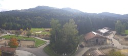 Archiv Foto Webcam Henndorf am Wallersee - Gut Aiderbichl 11:00