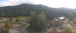 Archiv Foto Webcam Henndorf am Wallersee - Gut Aiderbichl 13:00