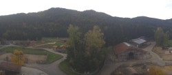 Archiv Foto Webcam Henndorf am Wallersee - Gut Aiderbichl 07:00