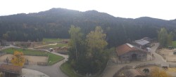 Archiv Foto Webcam Henndorf am Wallersee - Gut Aiderbichl 09:00