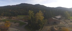 Archiv Foto Webcam Henndorf am Wallersee - Gut Aiderbichl 15:00