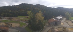 Archiv Foto Webcam Henndorf am Wallersee - Gut Aiderbichl 11:00