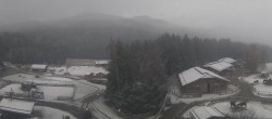 Archiv Foto Webcam Henndorf am Wallersee - Gut Aiderbichl 07:00