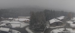 Archiv Foto Webcam Henndorf am Wallersee - Gut Aiderbichl 09:00
